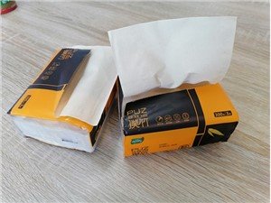 Restoran Public Tissue Paper